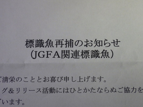 あの日、あの時のスズキ