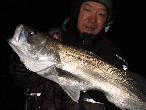 泉南スズキ＆タイリクスズキ
