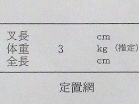 ７４８日、スズキ再捕。