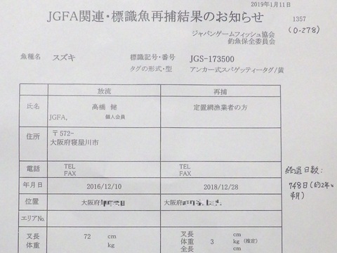 ７４８日、スズキ再捕。