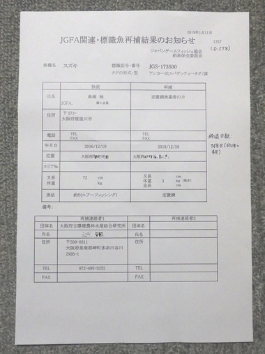 ７４８日、スズキ再捕。