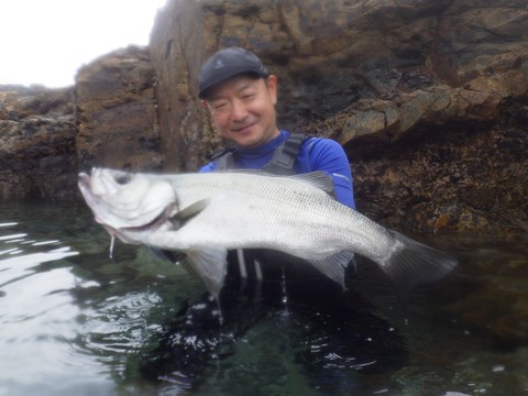 なかなかの釣れっぷり！