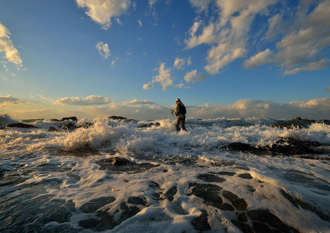 早川知芳写真展  「静かの海　Mare Tranquillitatis」
