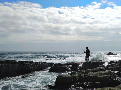 ヒラスズキ釣り百景