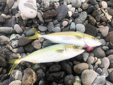釣り〜♪ 2019/08/03 21:04:58