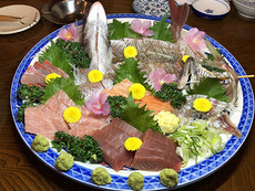 海王さん♪ 2021/04/10 23:33:51