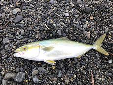 釣り ＆ 釜飯 2021/08/22 16:10:09
