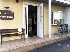 『 すい〜つ♪Neko Neko 』 2020/10/25 19:42:13