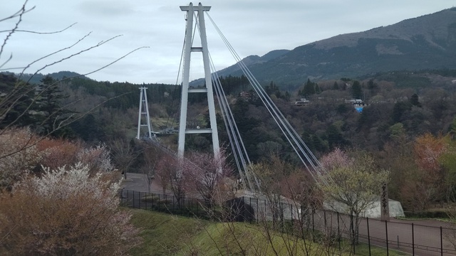 【九州車中泊旅】九重を行ったり来たり、今更のコロナ