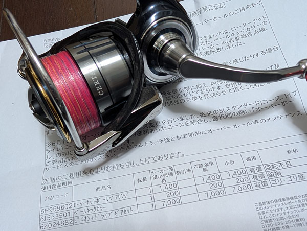 潮を読み ベイトを追わば 百戦危うからず:おかえり 19セルテート