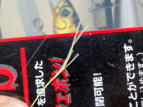 ラストチャンスはバラシまくり