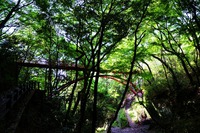 新緑の生駒山＾＾ 2014/05/12 12:00:00