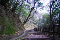 生駒山 なるかわ園地 2014/01/07 12:00:00