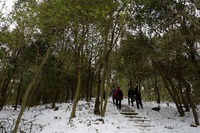 奈良側からのアプローチ 生駒山 2014/02/12 12:00:00