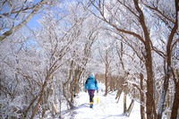2014年三峰山その２． 2014/03/10 12:00:00