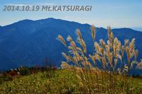 2014.10.19 初秋ススキ葛城山 2014/10/22 12:00:00