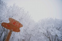2015.01.10.▲吹雪の三峰山▲ 2015/01/14 12:00:00
