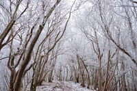 久々に三峰山 2016/01/21 12:00:00