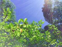 2015.07.20.2日連続の生駒お散歩 2015/07/22 00:33:50