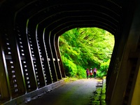 生駒お散歩ハイク2015.07.11 2015/07/11 12:12:50
