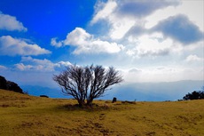三峰山 2017.1.4 2017/01/19 22:45:30