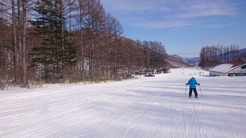 白銀の世界 Mt.乗鞍スノーリゾートへ！！【SKI 備忘録】