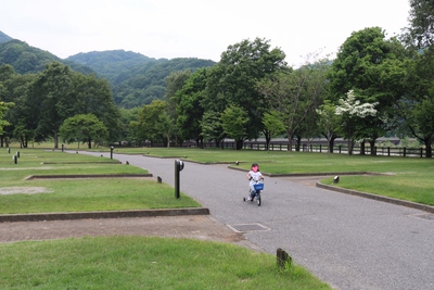 出会いの森オートキャンプ場で父子キャンです。