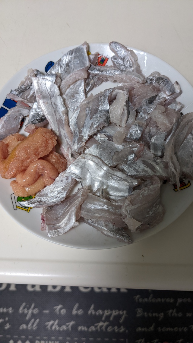カヤックフィッシング　太刀魚！