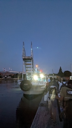 堺でタコ釣り
