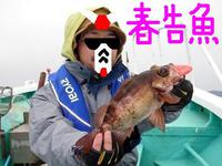 20110414　泣き尺メバル
