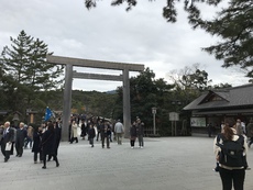 尺アジング失敗した話あるけど、聞く？ 2019/12/12 06:30:00