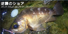 大事なお知らせがございます。 2017/06/22 06:30:00