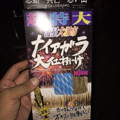 【第7泊】田代運動公園横の河原でキャンプ！～子どもたちの思い出編～