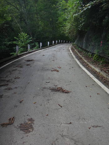 20180811-林道