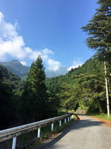 台風のきずあと