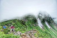 花の山旅　鳥海山2