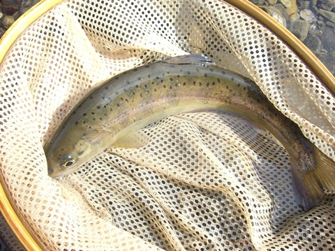 秋は着実に・・・・・