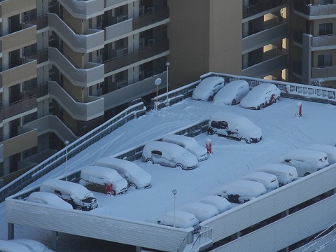 4年ぶりの大雪