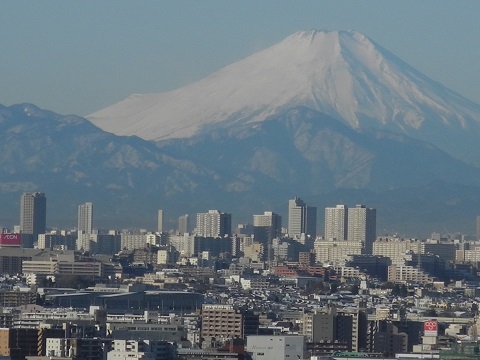 4年ぶりの大雪の後は