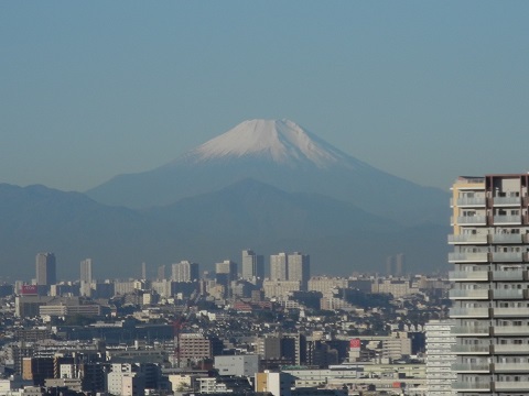 やっと冬らしく・・・