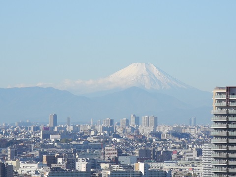 やっと冬らしく・・・