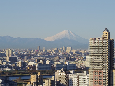 今日の富士山