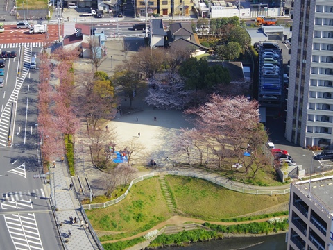 開花⑧