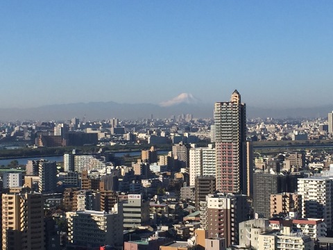 冬の景色