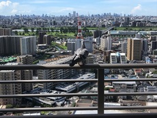 一休み？ 2018/08/15 20:01:53