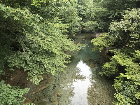 釣りに行けない日々が続きますが・・・