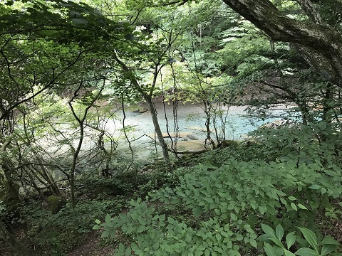 釣りに行けない日々が続きますが・・・
