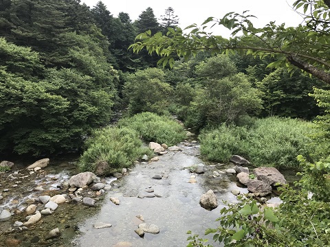 釣りに行けない日々が続きますが・・・