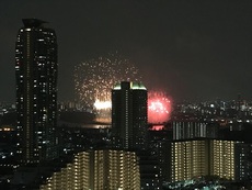 季節外れの・・・ 2018/09/29 19:42:35