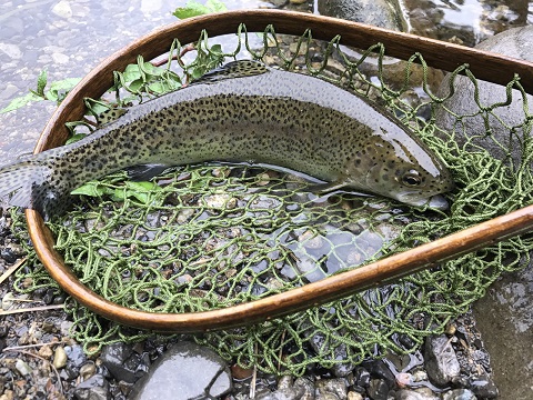 ご近所の釣り友